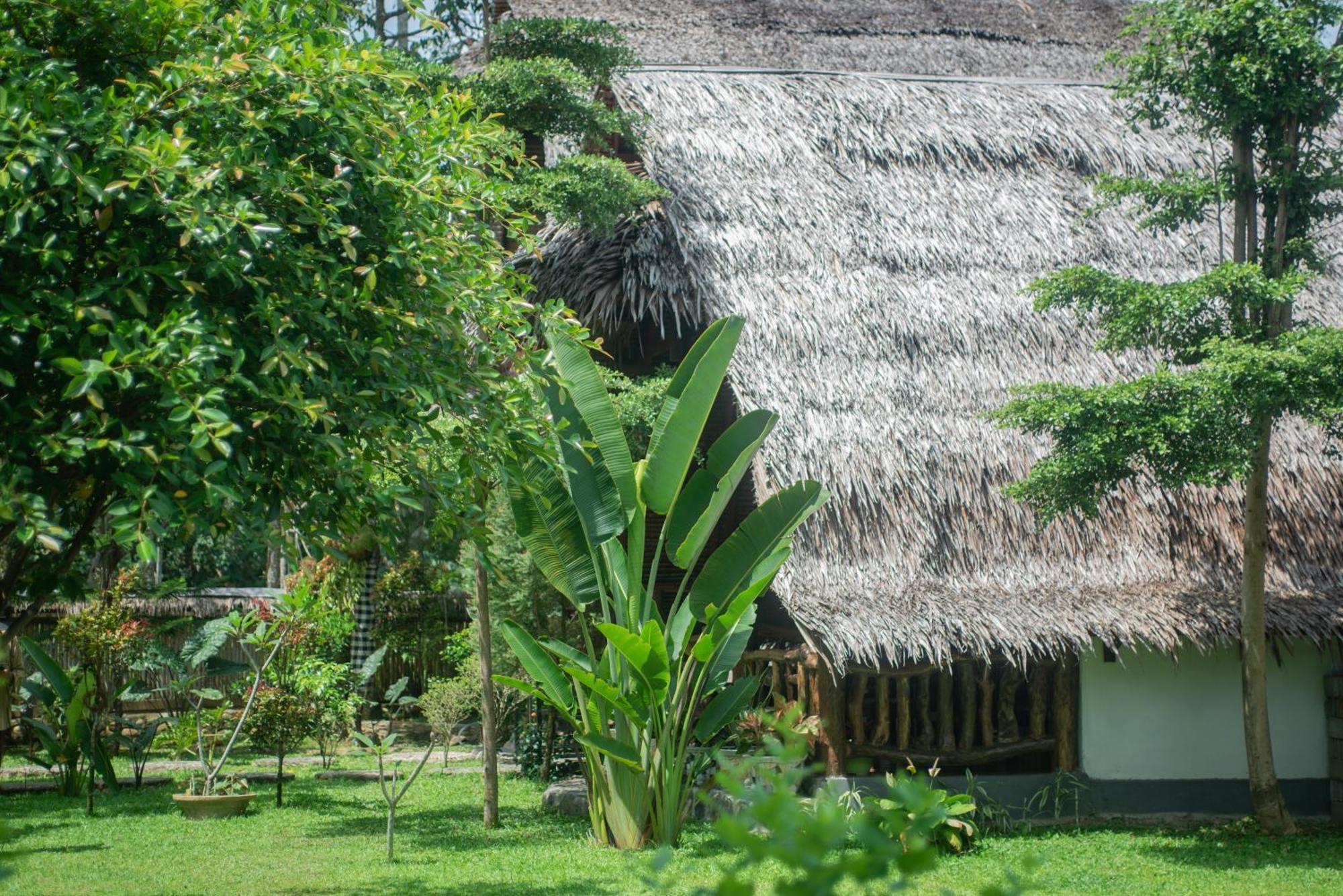 Sumatra Orangutan Treks Villa & Eco Jungle Trekking Activity Timbanglawang Exterior foto