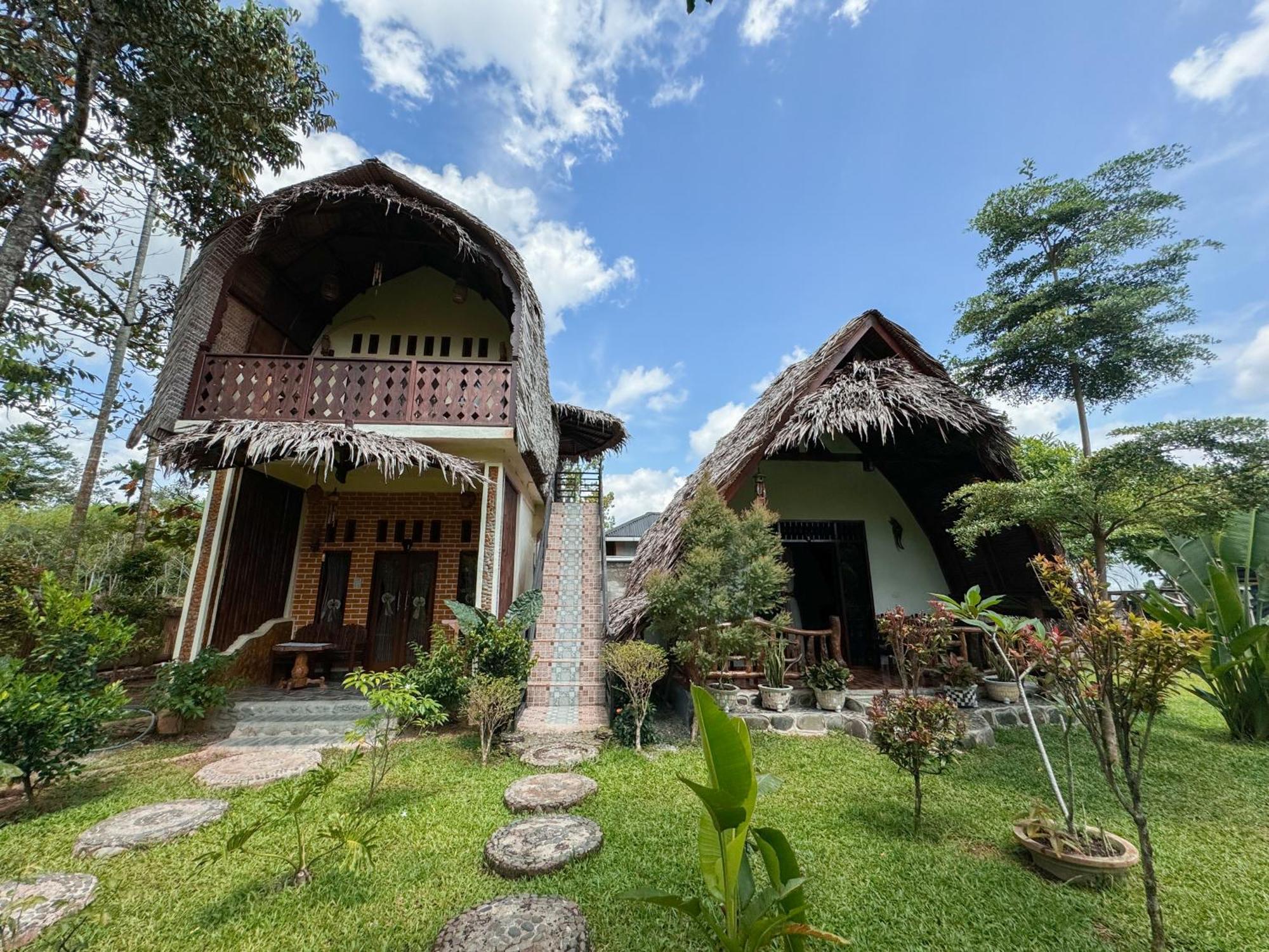 Sumatra Orangutan Treks Villa & Eco Jungle Trekking Activity Timbanglawang Exterior foto
