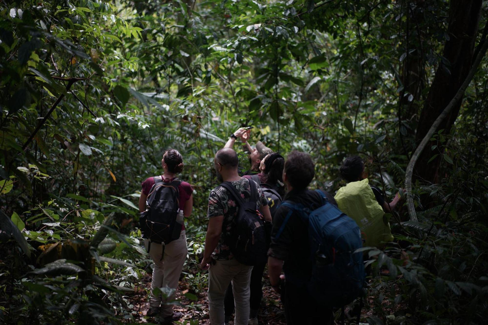 Sumatra Orangutan Treks Villa & Eco Jungle Trekking Activity Timbanglawang Exterior foto