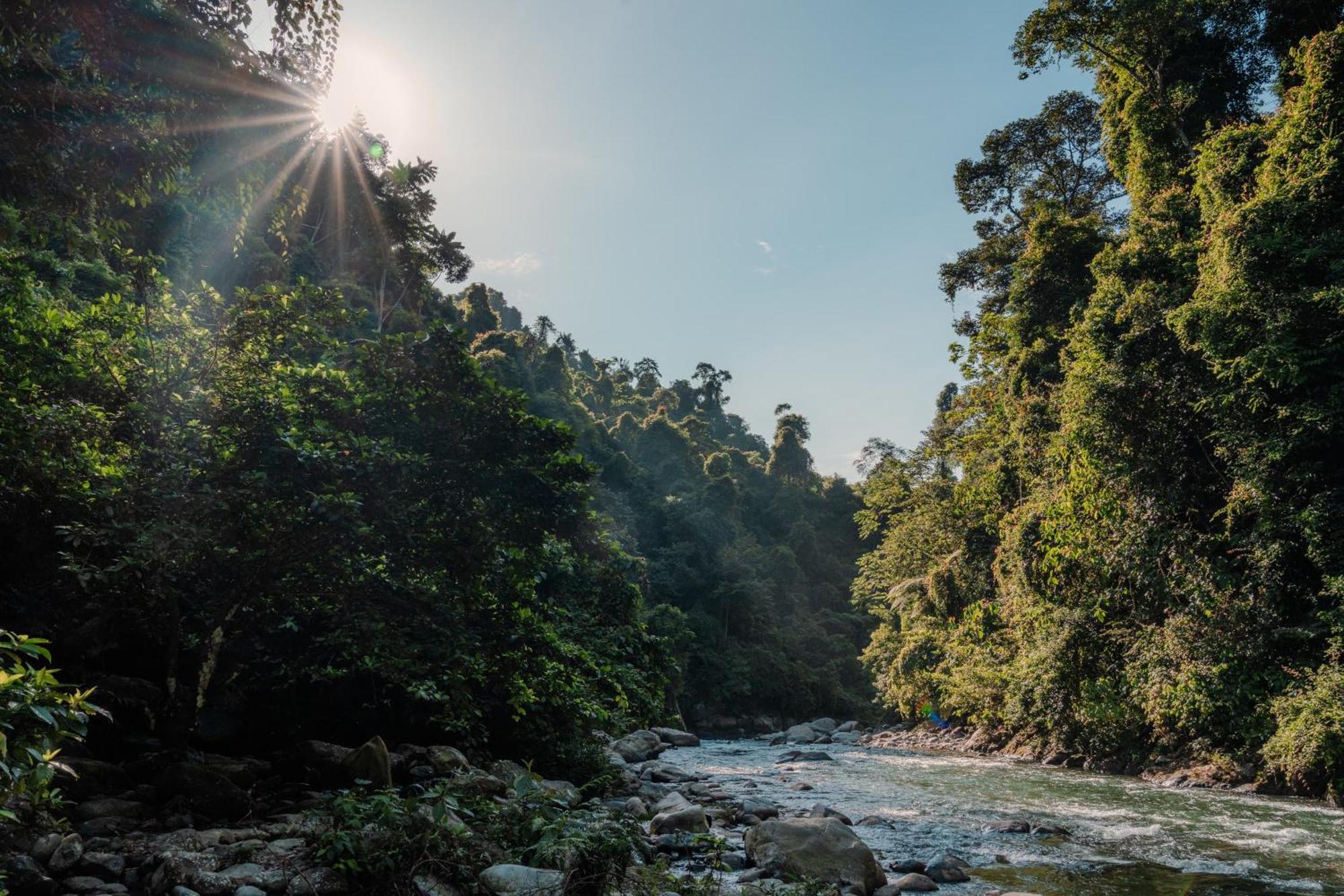 Sumatra Orangutan Treks Villa & Eco Jungle Trekking Activity Timbanglawang Exterior foto