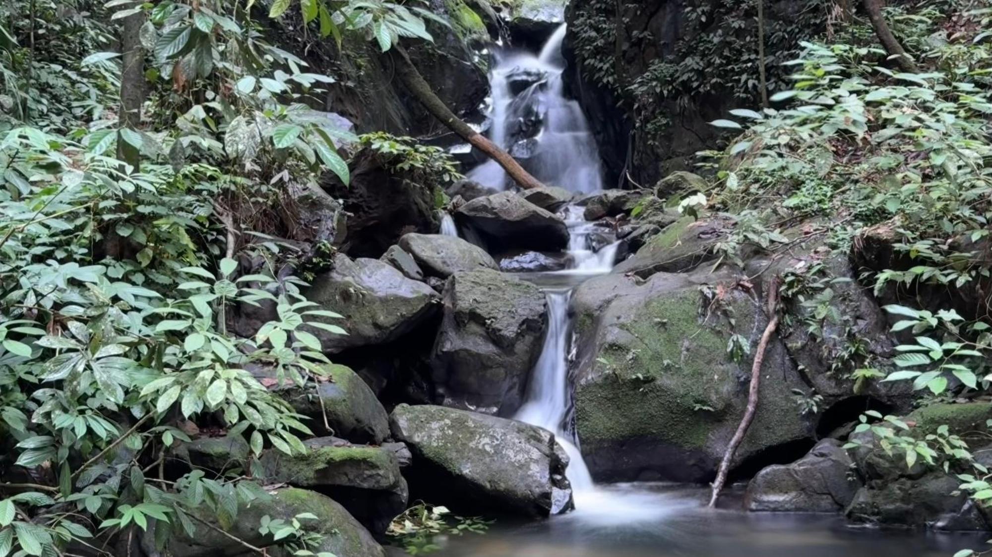 Sumatra Orangutan Treks Villa & Eco Jungle Trekking Activity Timbanglawang Exterior foto